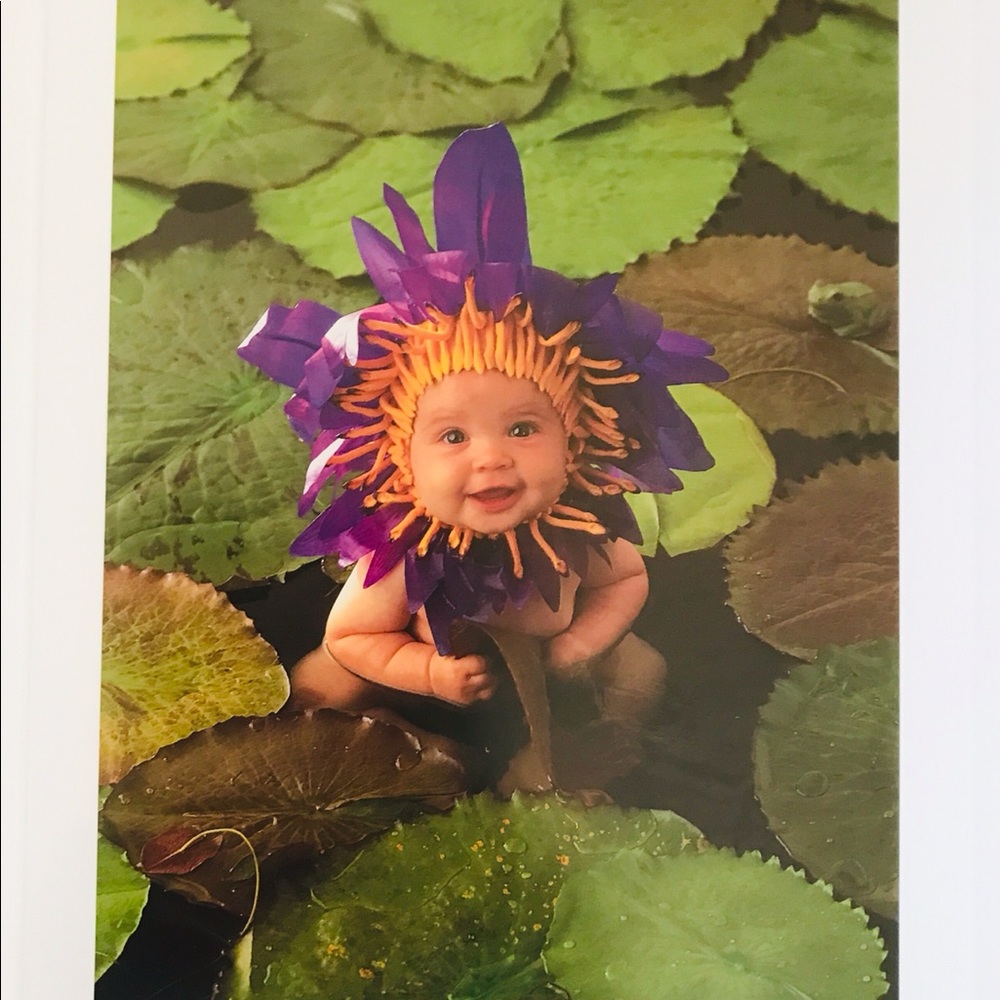 Anne Geddes Picture Wall Hanging Water Lily Baby